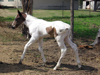 picture at 6 days old