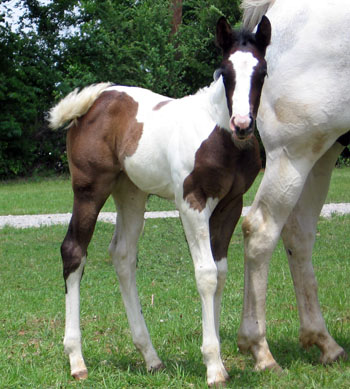 picture at 3 weeks old