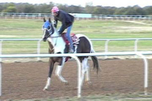 Cherokee working out at Blue Ribbon Downs 10-17-04