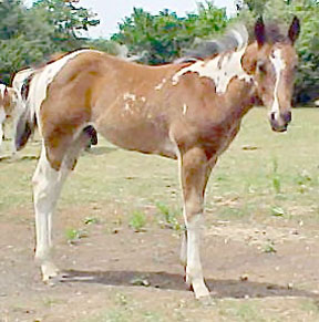 picture taken 5-15-05