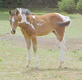 picture taken 5-15-05