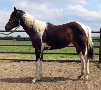 pictured at one year old