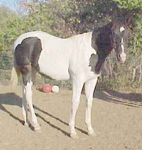 picture taken 11-9-05