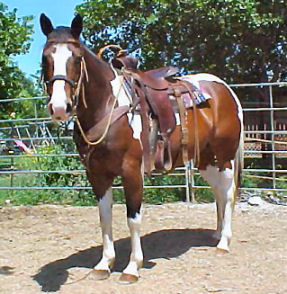 ZanParrPocoSanlena