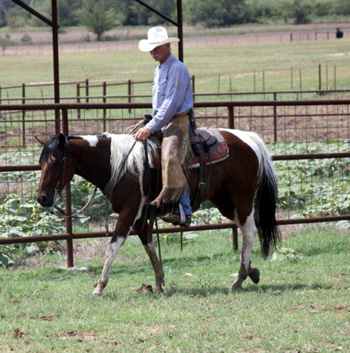 Dani riding Sept 2010