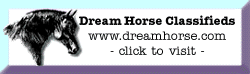 Link to www.dreamhorse.com