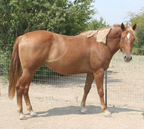 Judys Deal - summer 2006
