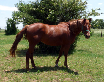 Judys Deal - May 2010