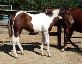 First Class Judy Sept 2010