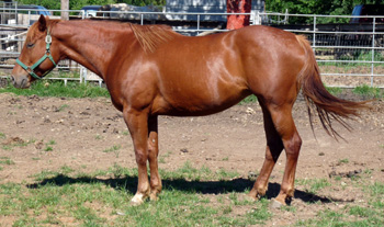 Judys Deal - May 2010