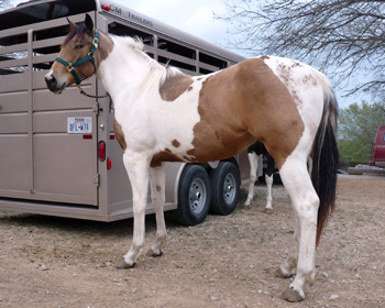 Lexsey - March 2009