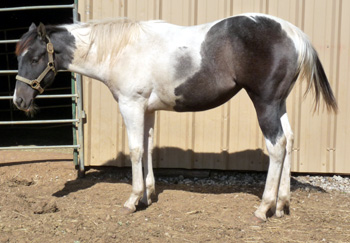 Mindofherown - May 2010 