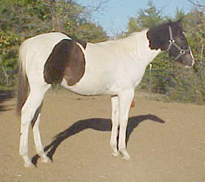 picture taken 11-9-05