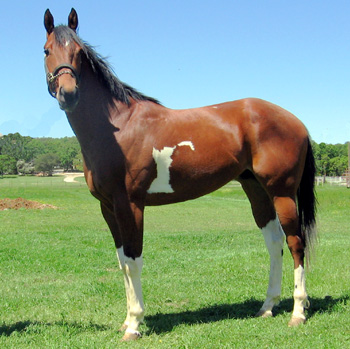 Paster Paint taken 4-11-07 as 2 yr old