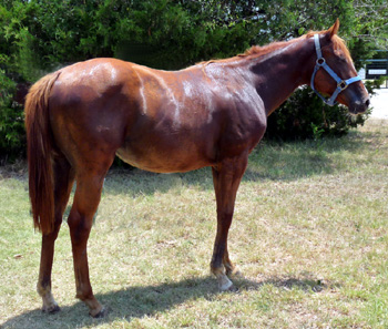 Queenie July 2012