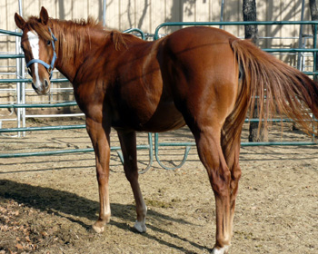 pictured Dec 2012