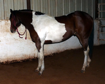 pictured March 2013