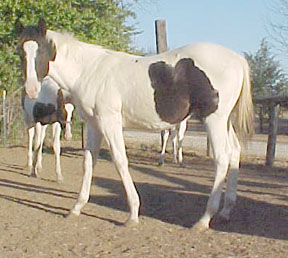 picture taken 11-9-05