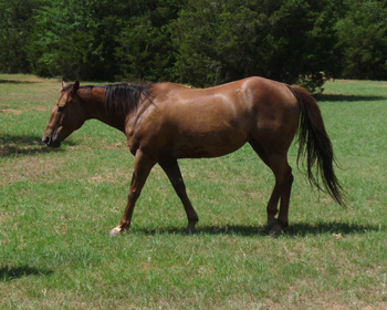 Sister June 2009