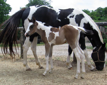 picture at 5 days old