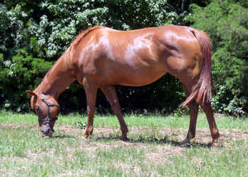 Texas Streaker May 2011