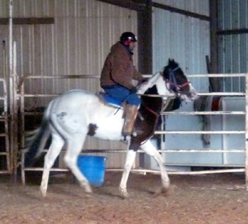 Such-Feb 2012-riding