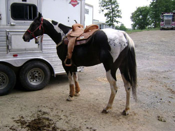 Texas Seven