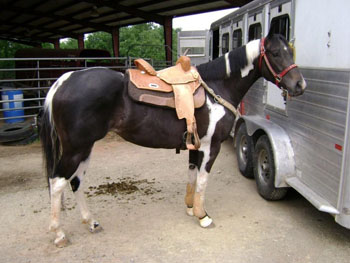 Texas Seven
