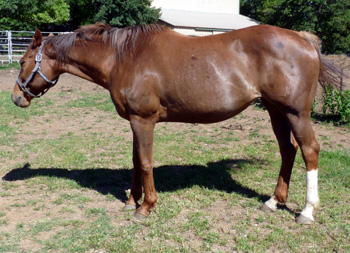 Unchained May 2010