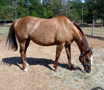unchained June 2010