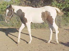 picture taken 11-9-05